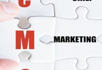 Giám đốc Marketing Chuyên Nghiệp 