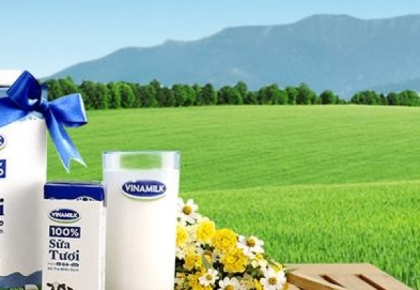 Quảng bá ở nước ngoài, đấu giá Vinamilk sẽ đắt khách