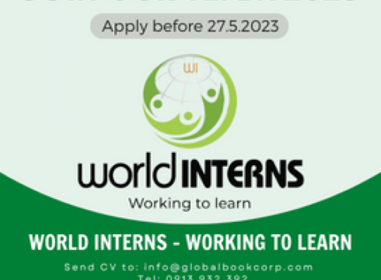 Tuyển dụng chương trình World Interns - Working to learn 2023