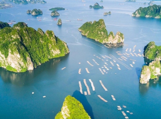 Du lịch Quảng Ninh thắng lớn, không còn lo sợ mùa thấp điểm