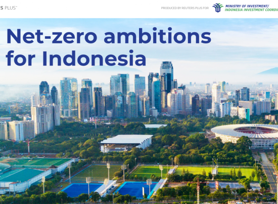 Reuters: Tham vọng của Indonesia đối với sự chuyển đổi xanh của nền kinh tế