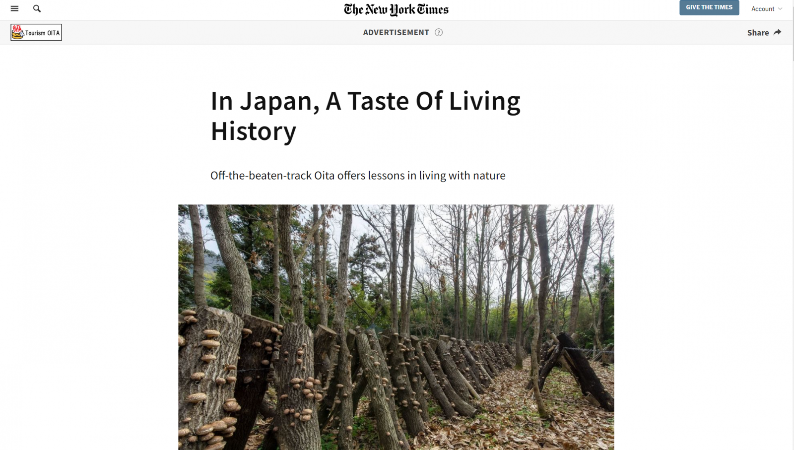 The New York Times đưa tin về du lịch tỉnh Oita, Nhật Bản | Quan Dinh H. | Quan Dinh Writer | info@quandinhwriter.com